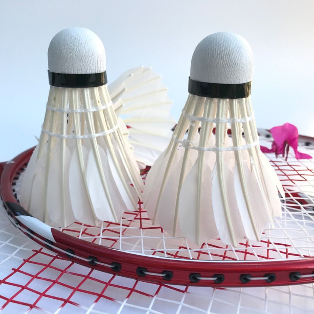 3/6/12 قطعة جديد الأبيض الريشة - مراجعة Badminton Shuttlecock وسعره